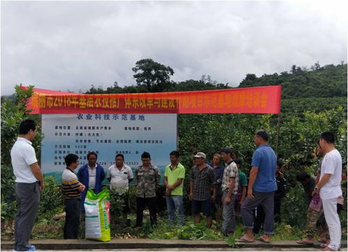 瑞麗市召開2018年農(nóng)技推廣補助項目基地物資發(fā)放暨現(xiàn)場觀摩培訓會